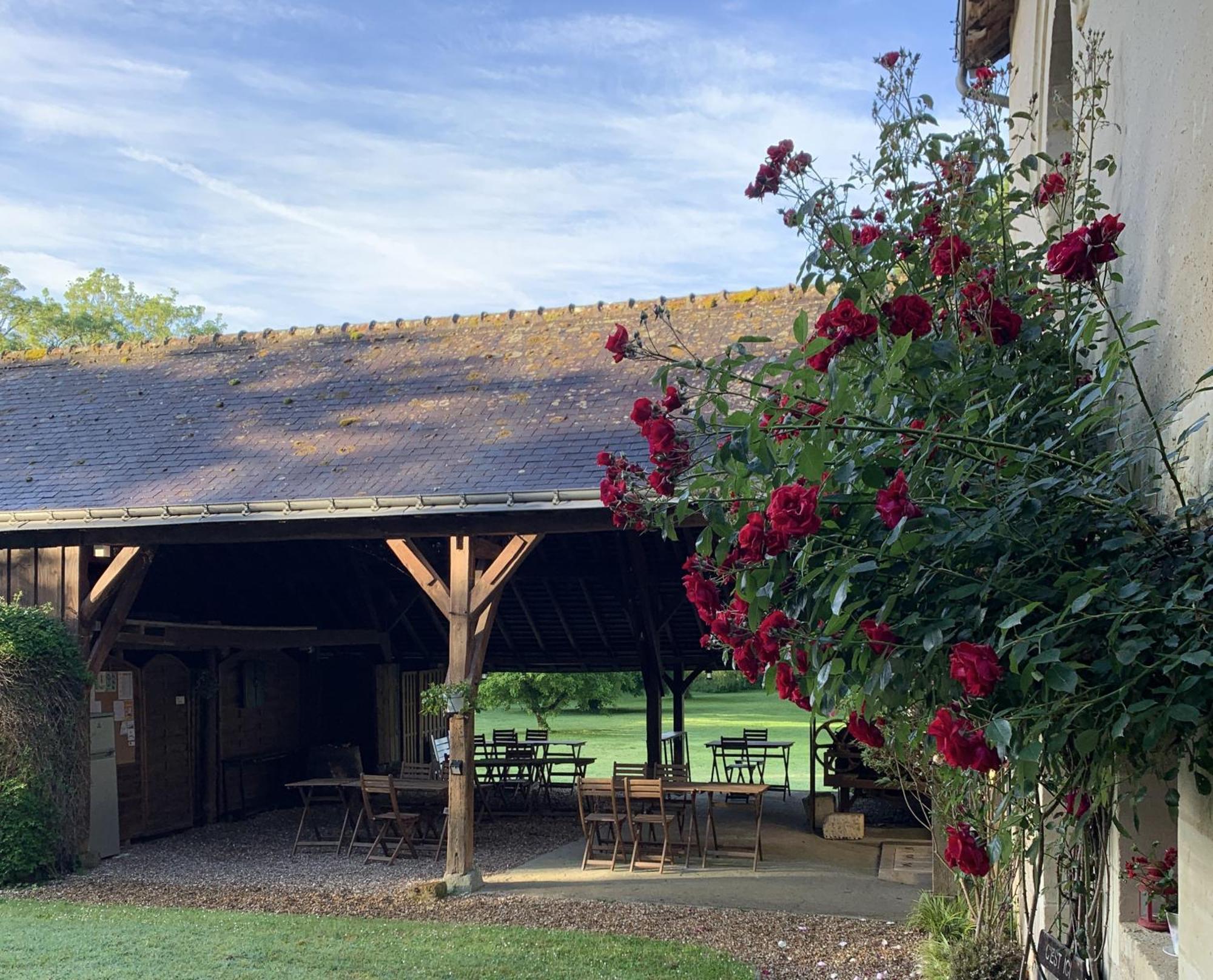 Chambre D'Hotes Le Moulin Des Landes Vernou-sur-Brenne Dış mekan fotoğraf